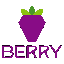 Berry Data icon